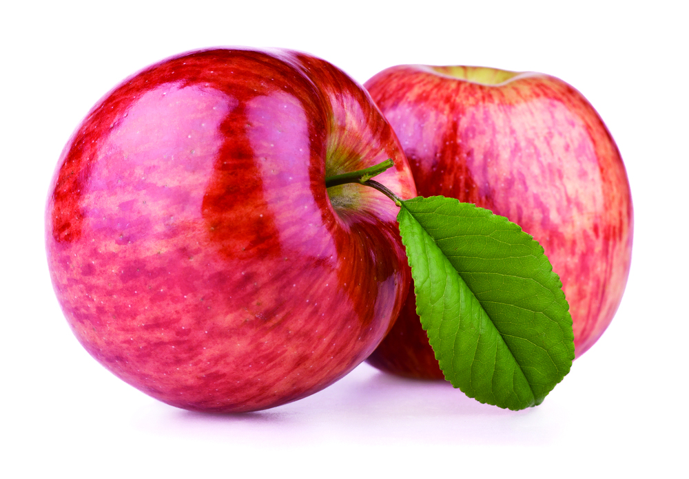 REVI酵素シリーズ特集